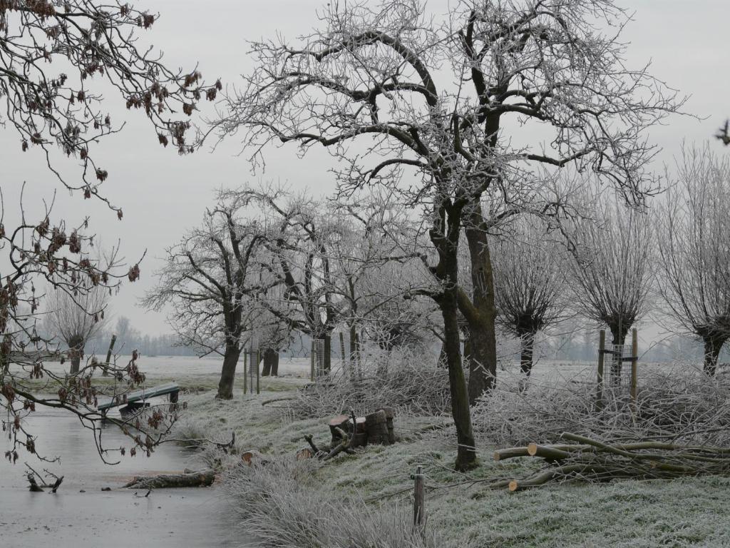 De Boomgaard Groene Hart Polsbroekerdam エクステリア 写真